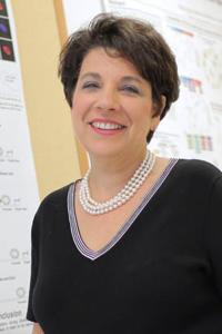 Cory Abate-Shen, PhD Profile Headshot